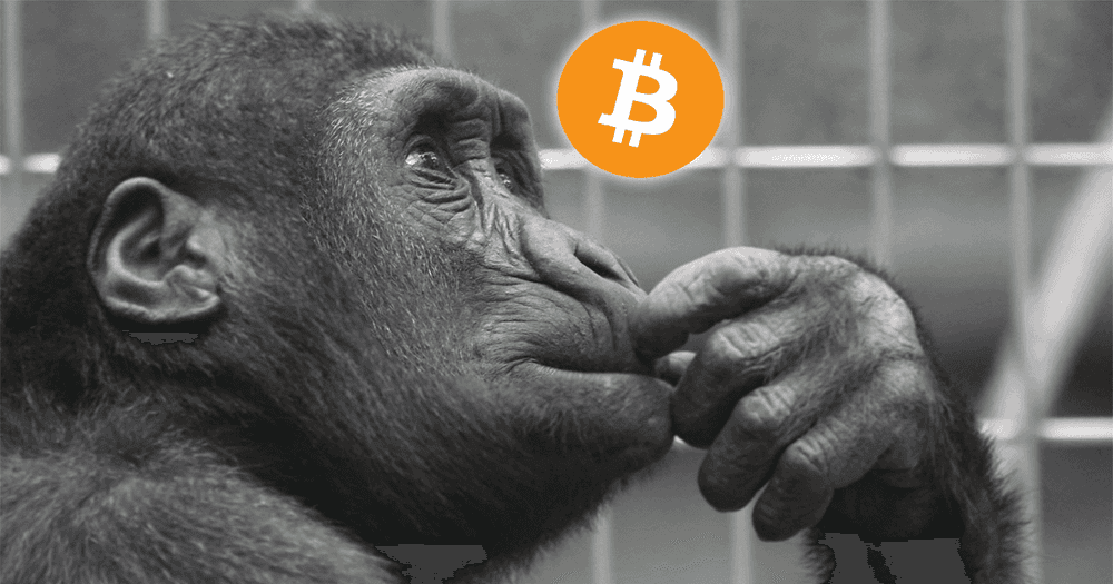 เกือบ 65% จากคน 12,000 คน คิดว่า ราคา Bitcoin ยังต่ำเกินไป