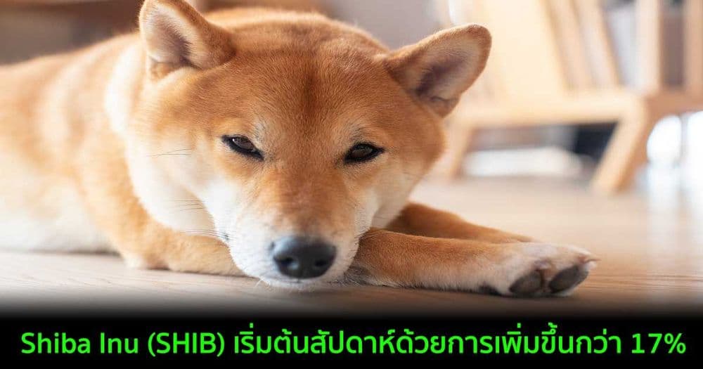 Shiba Inu ฟื้นตัวขึ้นกว่า 17% แม้จะโดนวาฬ SHIB รายใหญ่เทขายก็ตาม