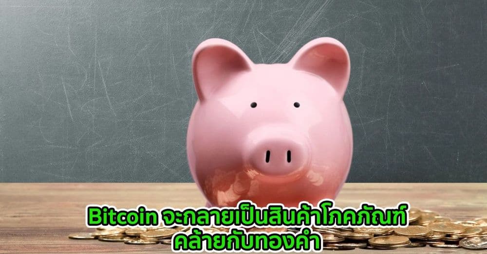 ผู้จัดการกองทุนชาวนิวซีแลนด์ เผยว่าได้ลงทุน 545 ล้านบาทใน Bitcoin เมื่อราคาอยู่ที่ 3 แสนบาทในเดือนตุลาคมปี 2020