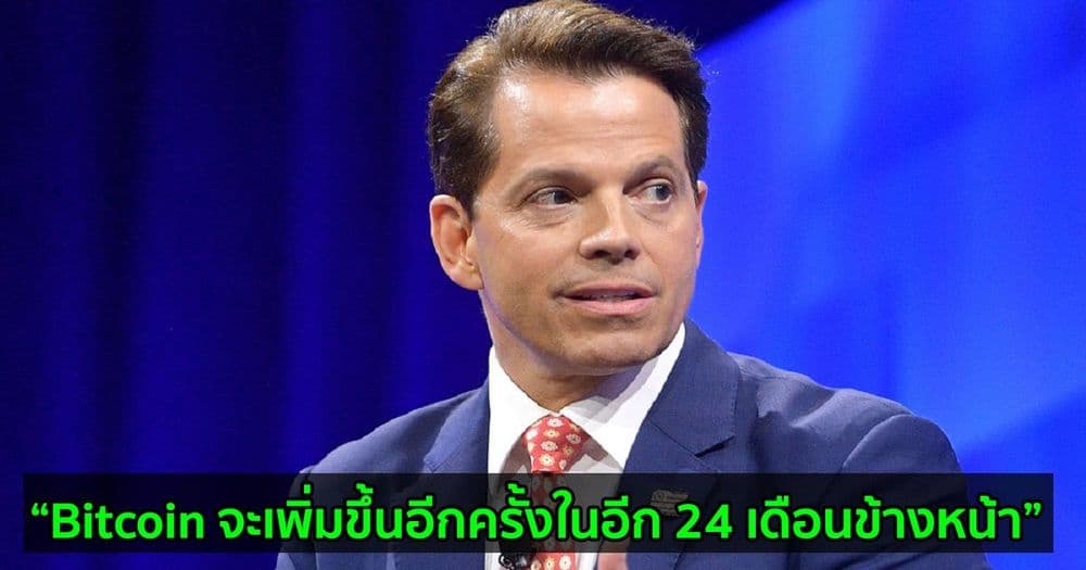 ผู้ก่อตั้ง SkyBridge Capital เชื่อว่าในไม่ช้ามูลค่าของ Bitcoin จะเพิ่มขึ้นอีกครั้งในอีก 24 เดือนข้างหน้า