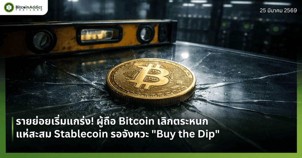 รายย่อยเริ่มแกร่ง! ผู้ถือ Bitcoin เลิกตระหนก แห่สะสม Stablecoin รอจังหวะ "Buy the Dip"