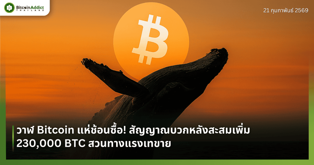 วาฬ Bitcoin แห่ช้อนซื้อ! สัญญาณบวกหลังสะสมเพิ่ม 230,000 BTC สวนทางแรงเทขาย