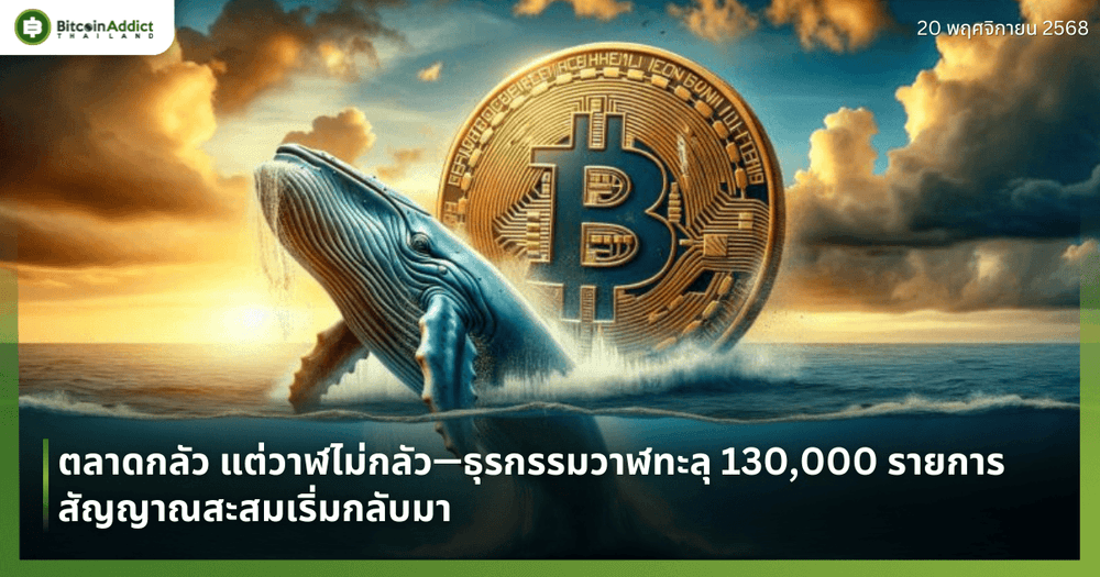 ตลาดกลัว แต่วาฬไม่กลัว—ธุรกรรมวาฬทะลุ 130,000 รายการ สัญญาณสะสมเริ่มกลับมา