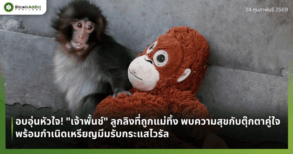 อบอุ่นหัวใจ! "เจ้าพั้นช์" ลูกลิงที่ถูกแม่ทิ้ง พบความสุขกับตุ๊กตาคู่ใจ พร้อมกำเนิดเหรียญมีมรับกระแสไวรัล