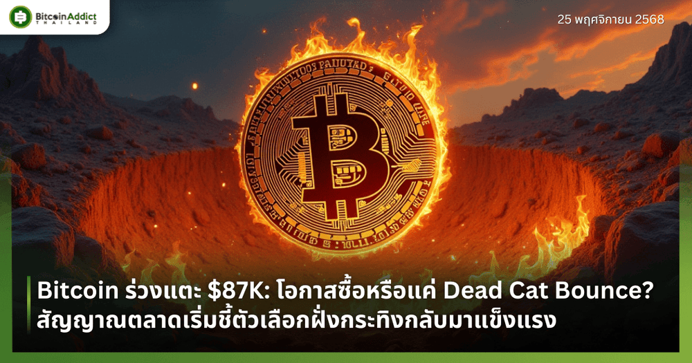 Bitcoin ร่วงแตะ $87K: โอกาสเข้าซื้อหรือแค่ Dead Cat Bounce? สัญญาณตลาดเริ่มชี้ตัวเลือกฝั่งกระทิงกลับมาแข็งแรง