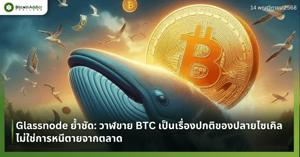 Glassnode ย้ำชัด: วาฬขาย BTC เป็นเรื่องปกติของปลายไซเคิล ไม่ใช่การหนีตายจากตลาด