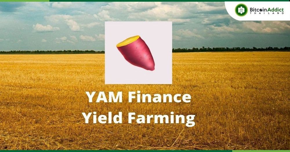 ผู้ถือโทเค็น DeFi "Yam Finance" เสนอให้ปิดโครงการ และแจกจ่ายเงินในคลังให้กับผู้ถือโทเค็น