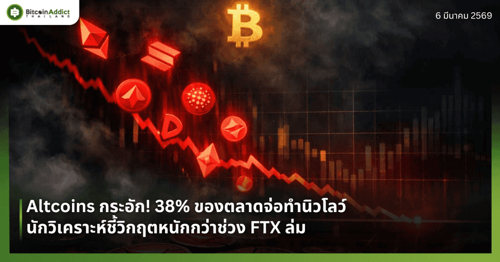 Altcoins กระอัก! 38% ของตลาดจ่อทำนิวโลว์ นักวิเคราะห์ชี้วิกฤตหนักกว่าช่วง FTX ล่ม
