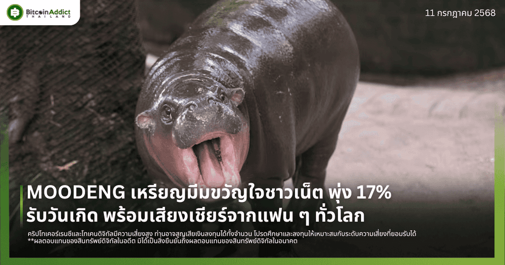 MOODENG เหรียญมีมขวัญใจชาวเน็ต พุ่ง 17% รับวันเกิด พร้อมเสียงเชียร์จากแฟน ๆ ทั่วโลก
