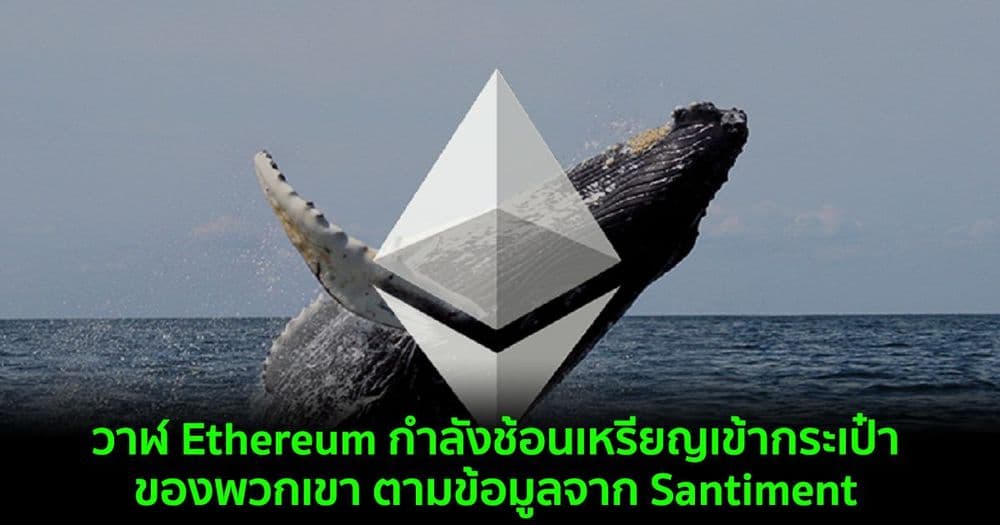 วาฬ Ethereum กำลังช้อนเหรียญเข้ากระเป๋าเงินของพวกเขา ตามข้อมูลจาก Santiment