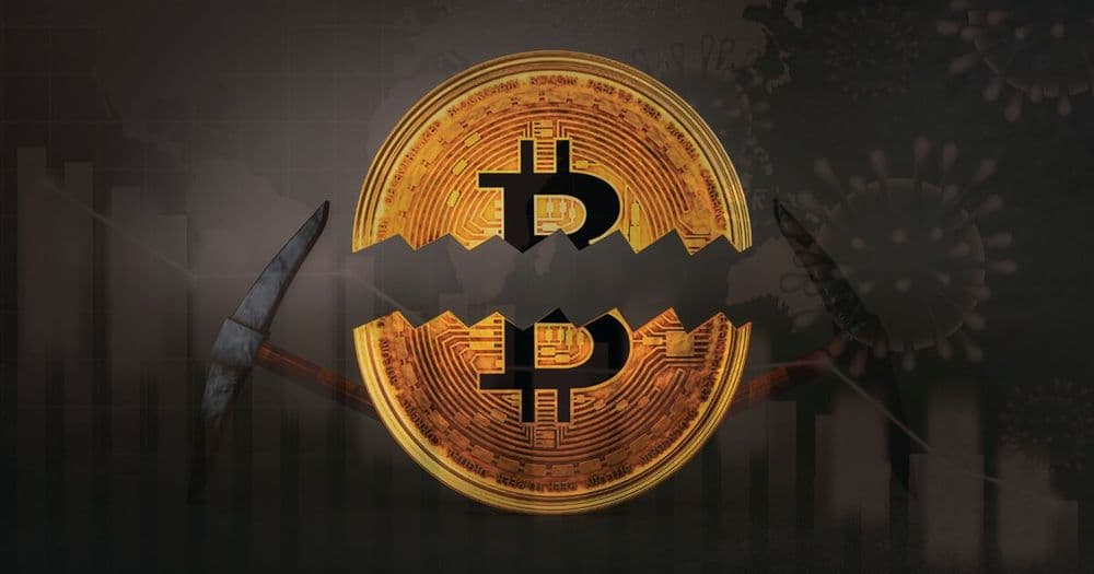 Halving จะส่งผลกระทบต่อพฤติกรรมการเทรด Bitcoin ของนักลงทุนรายย่อยและเหล่าวาฬอย่างไร?