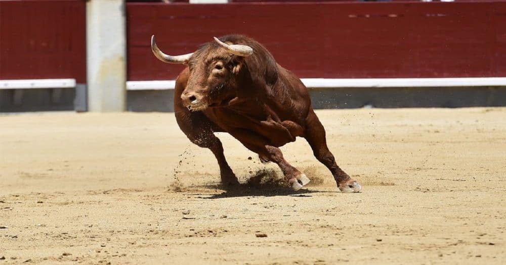 Bloomberg คาดว่าทองคำจะอยู่ที่ $3,000  BITCOIN จะอยู่ที่ $20K ในตลาด BULL RUN ล่าสุด