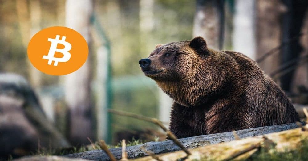 Bitcoin ร่วงกว่า 7% สู่ระดับต่ำสุดถึง 17,600 USD