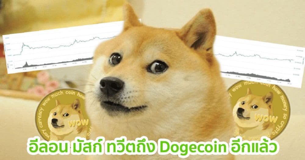 Dogecoin (DOGE) ราคาพุ่ง 60% หลังจาก อีลอน มัสก์ ทวีตถึงอีกครั้ง