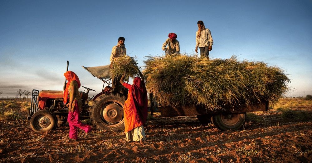 บริษัท Blockchain ของอินเดีย ร่วมมือกับรัฐบาลเพื่อช่วยเกษตรกรให้ขายพืชผลในราคาที่เป็นธรรม