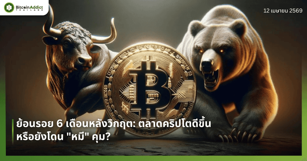 ย้อนรอย 6 เดือนหลังวิกฤต: ตลาดคริปโตดีขึ้น หรือยังโดน "หมี" คุม?