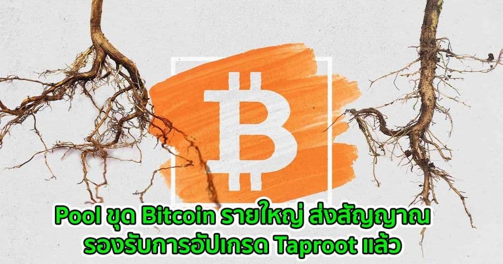 Pool ขุด Bitcoin รายใหญ่ ส่งสัญญาณรองรับการอัปเกรด Taproot แล้ว