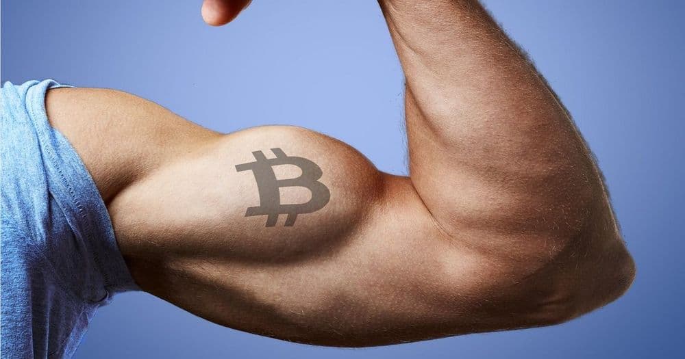 นักวิเคราะห์ On-chain กล่าวว่า  Bitcoin hodler กำลังแข็งแกร่งขึ้น