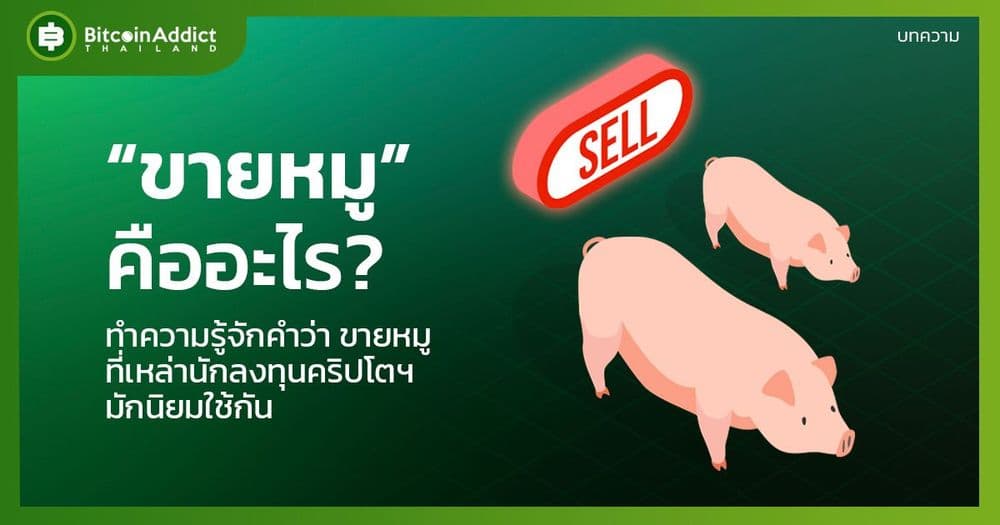 ขายหมู คืออะไร ? คำศัพท์ยอดฮิตที่มือใหม่ควรรู้