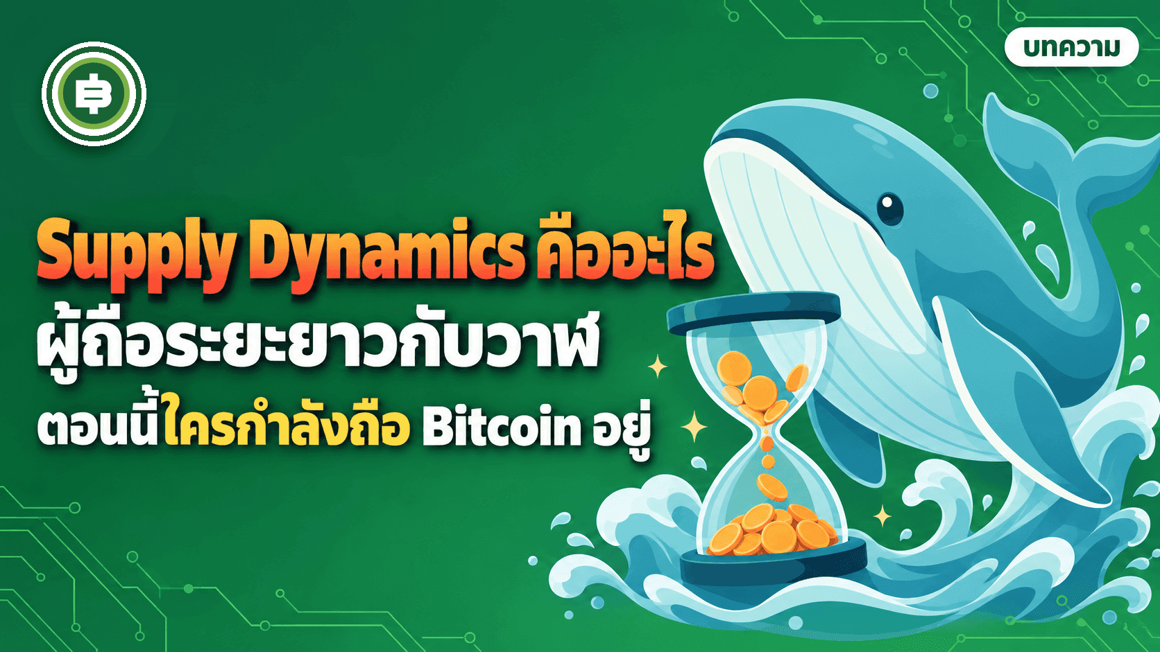 Supply Dynamics คืออะไร ผู้ถือระยะยาว (LTH) กับวาฬ ตอนนี้ใครกำลังถือ Bitcoin อยู่