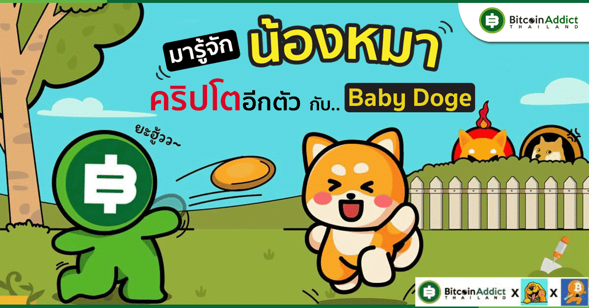 what is baby doge coin bitcoin addict thailand