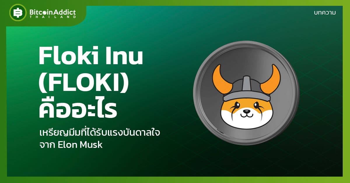 what is floki inu floki