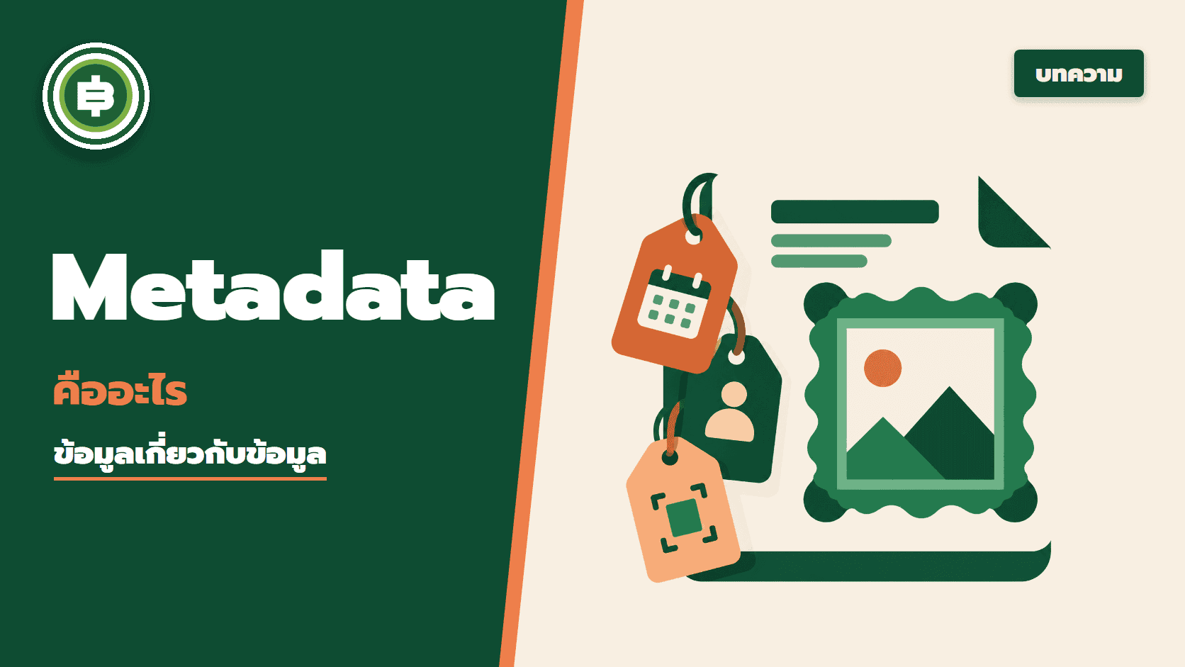 Metadata คืออะไร