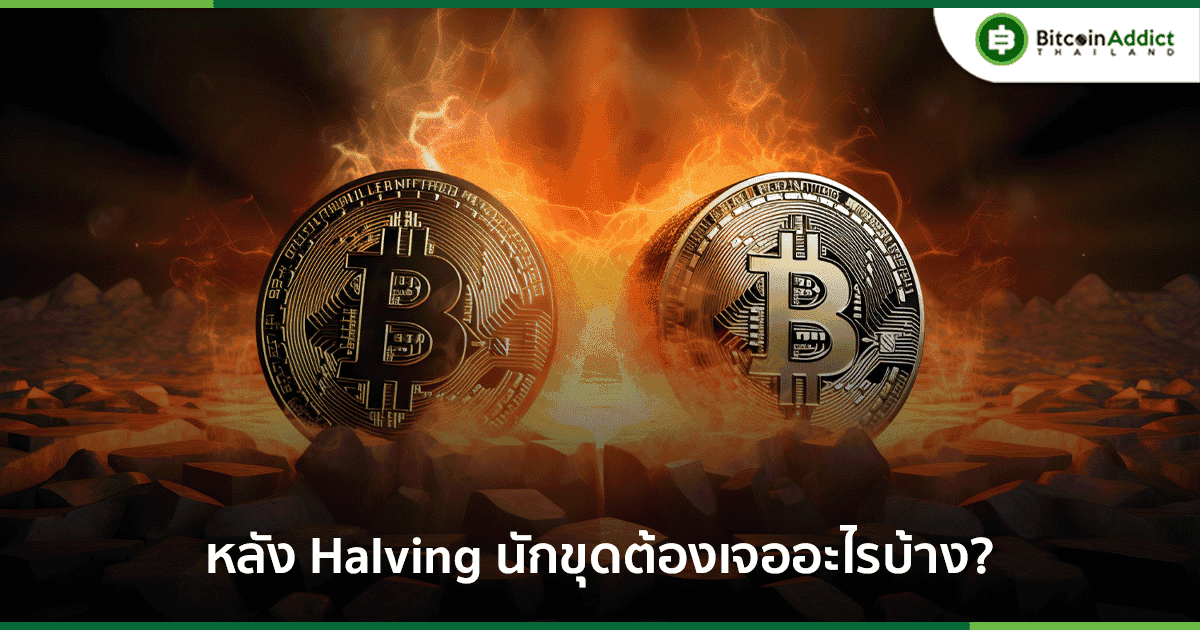 หลัง Bitcoin Halving นักขุดต้องเจอความท้าทาย และต้องปรับตัวอะไรบ้าง?