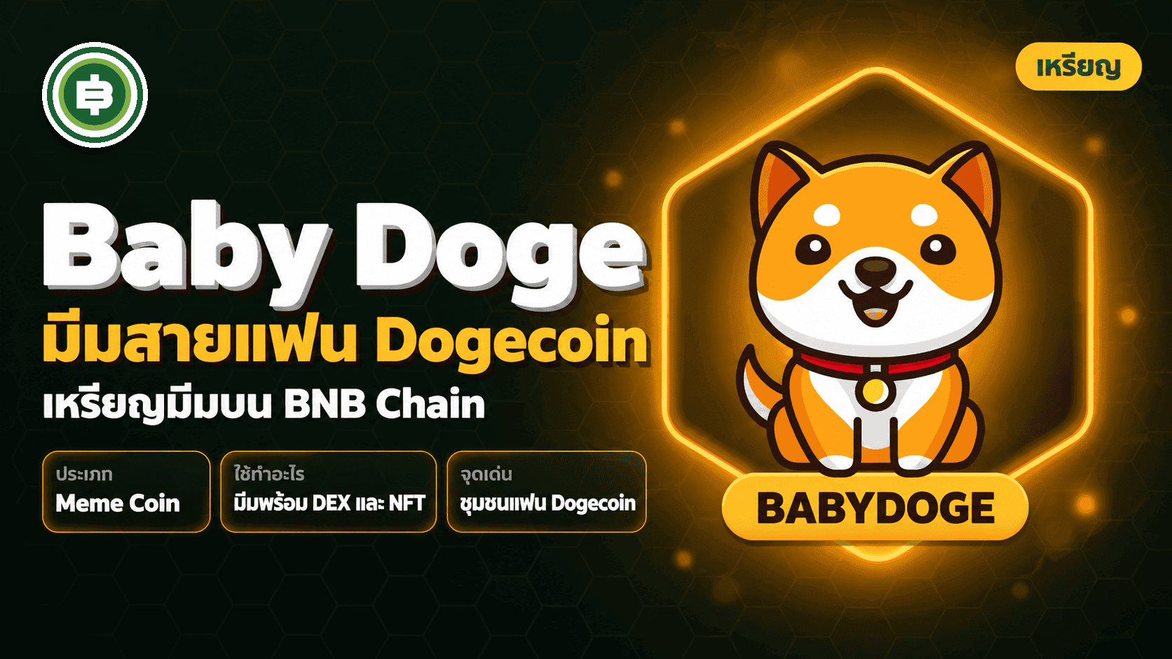 Baby Doge เหรียญมีมน้องหมาที่สร้างจากแฟนคลับของ Doge Coin