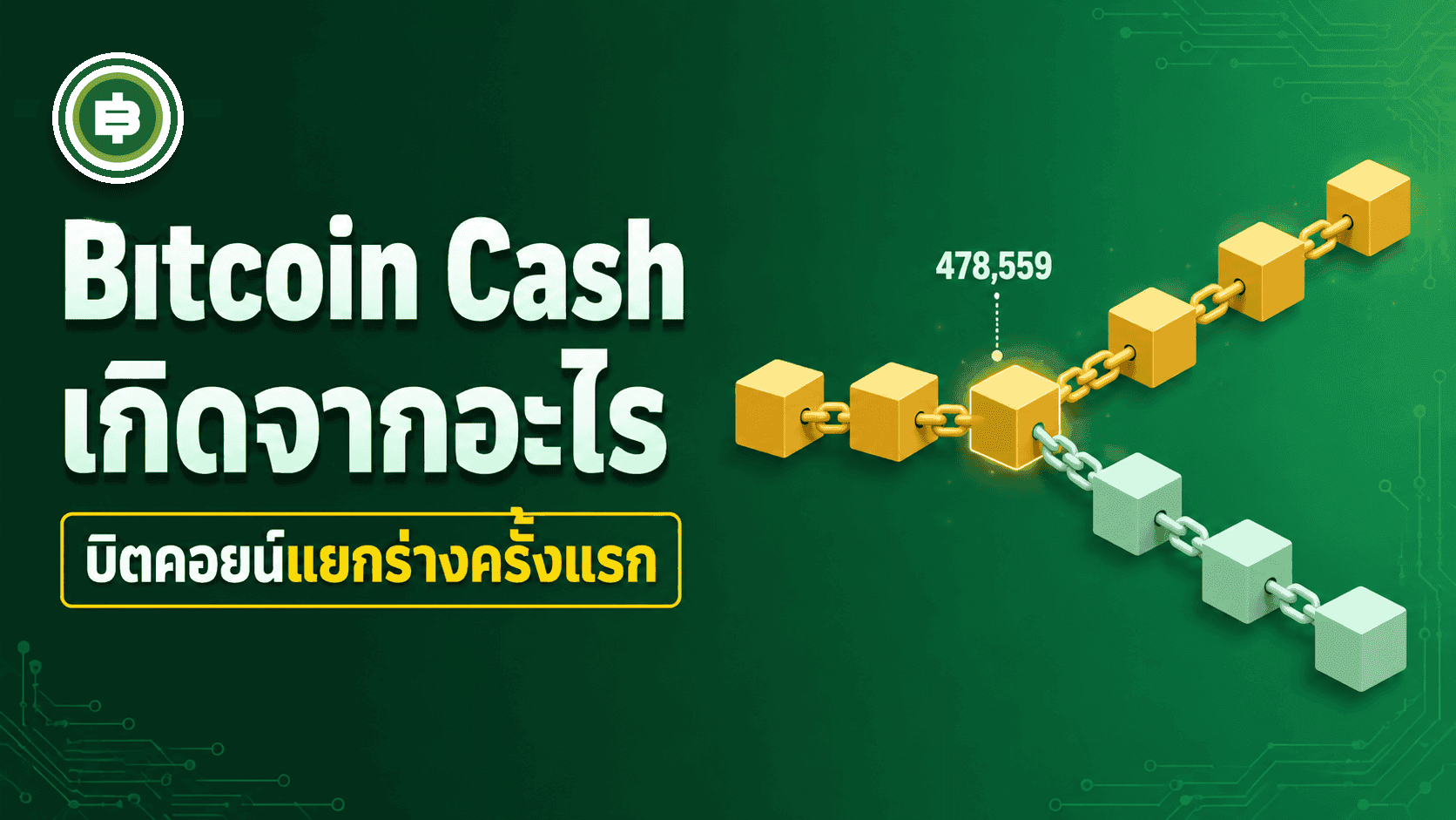 Bitcoin Cash เกิดจากอะไร เปิดแฟ้มวันที่ Bitcoin แยกร่างเป็นสองสายครั้งแรก