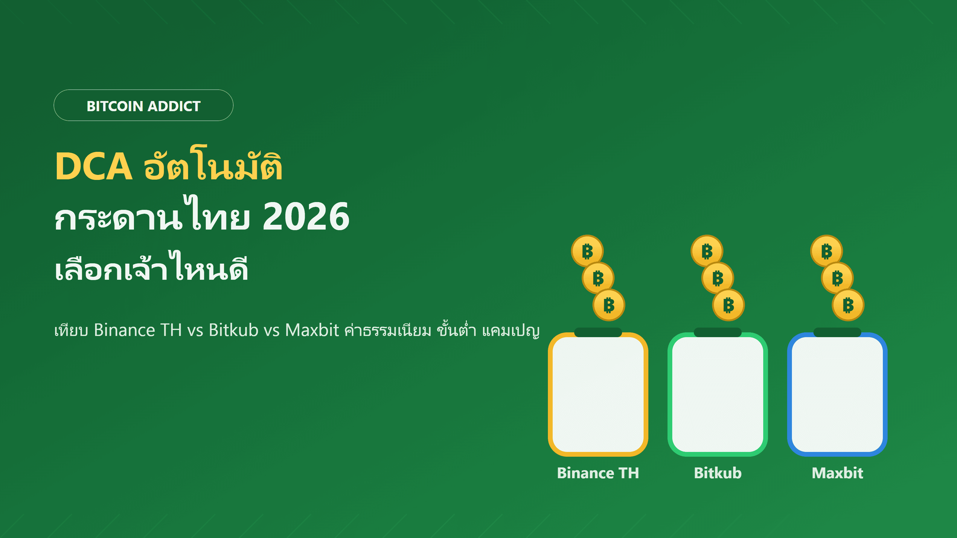 DCA อัตโนมัติกระดานไทย 2026 เทียบ Binance TH vs Bitkub vs Maxbit เลือกเจ้าไหนดี