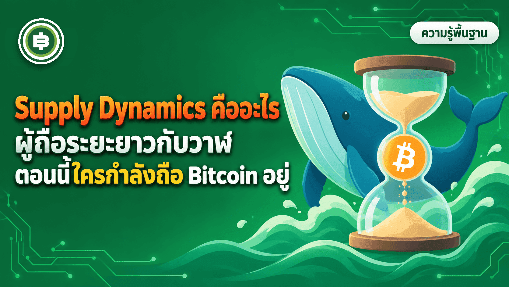 Supply Dynamics คืออะไร ผู้ถือระยะยาว (LTH) กับวาฬ ตอนนี้ใครกำลังถือ Bitcoin อยู่
