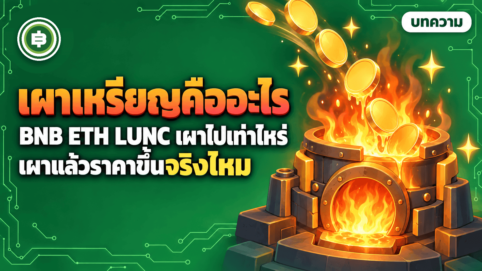เผาเหรียญ (Token Burn) คืออะไร? BNB ETH LUNC เผาไปเท่าไหร่ และเผาแล้วราคาขึ้นจริงไหม