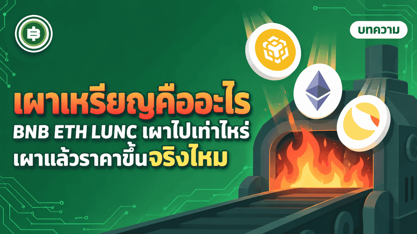 เผาเหรียญ (Token Burn) คืออะไร? BNB ETH LUNC เผาไปเท่าไหร่ และเผาแล้วราคาขึ้นจริงไหม