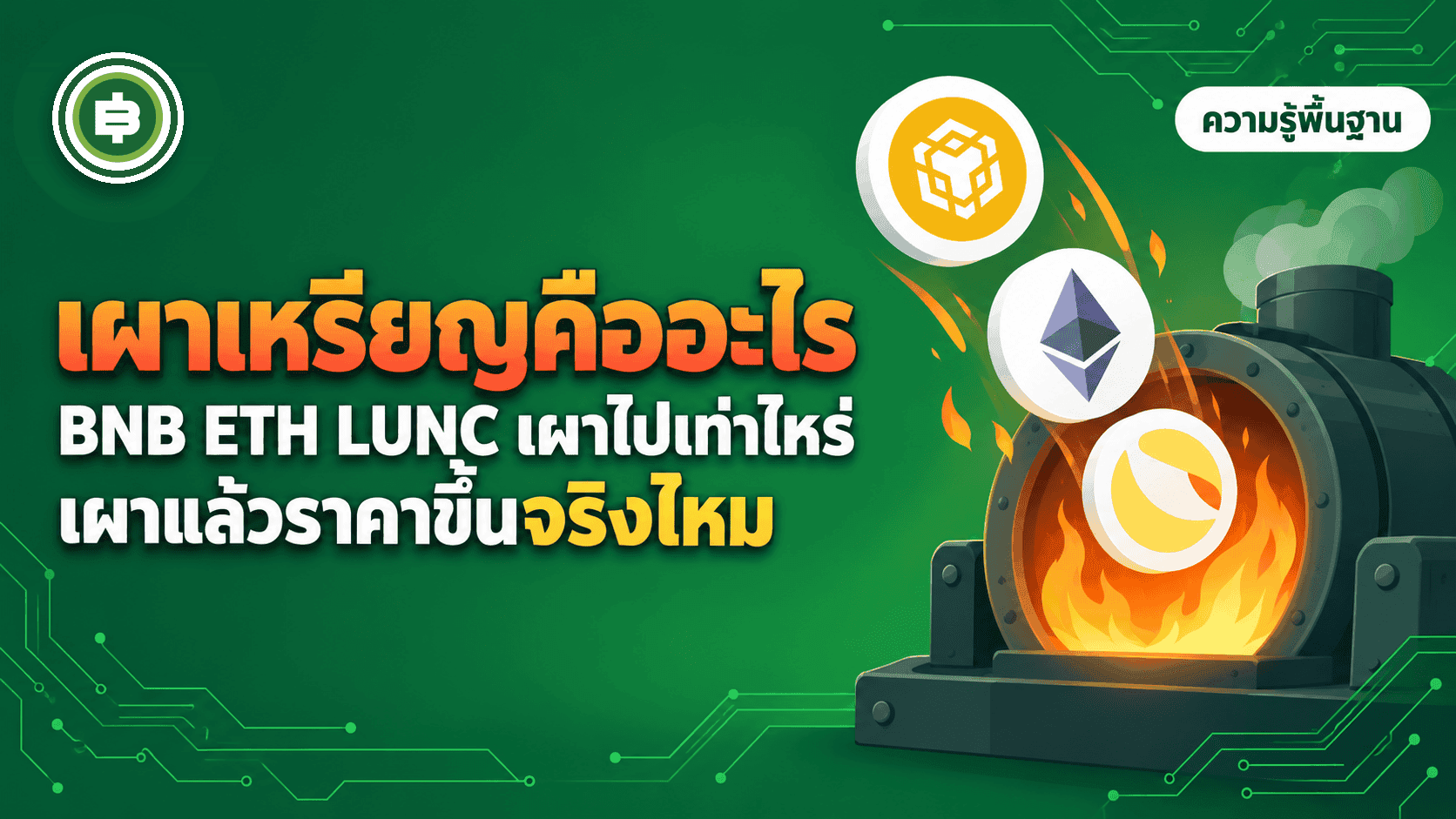 เผาเหรียญ (Token Burn) คืออะไร? BNB ETH LUNC เผาไปเท่าไหร่ และเผาแล้วราคาขึ้นจริงไหม