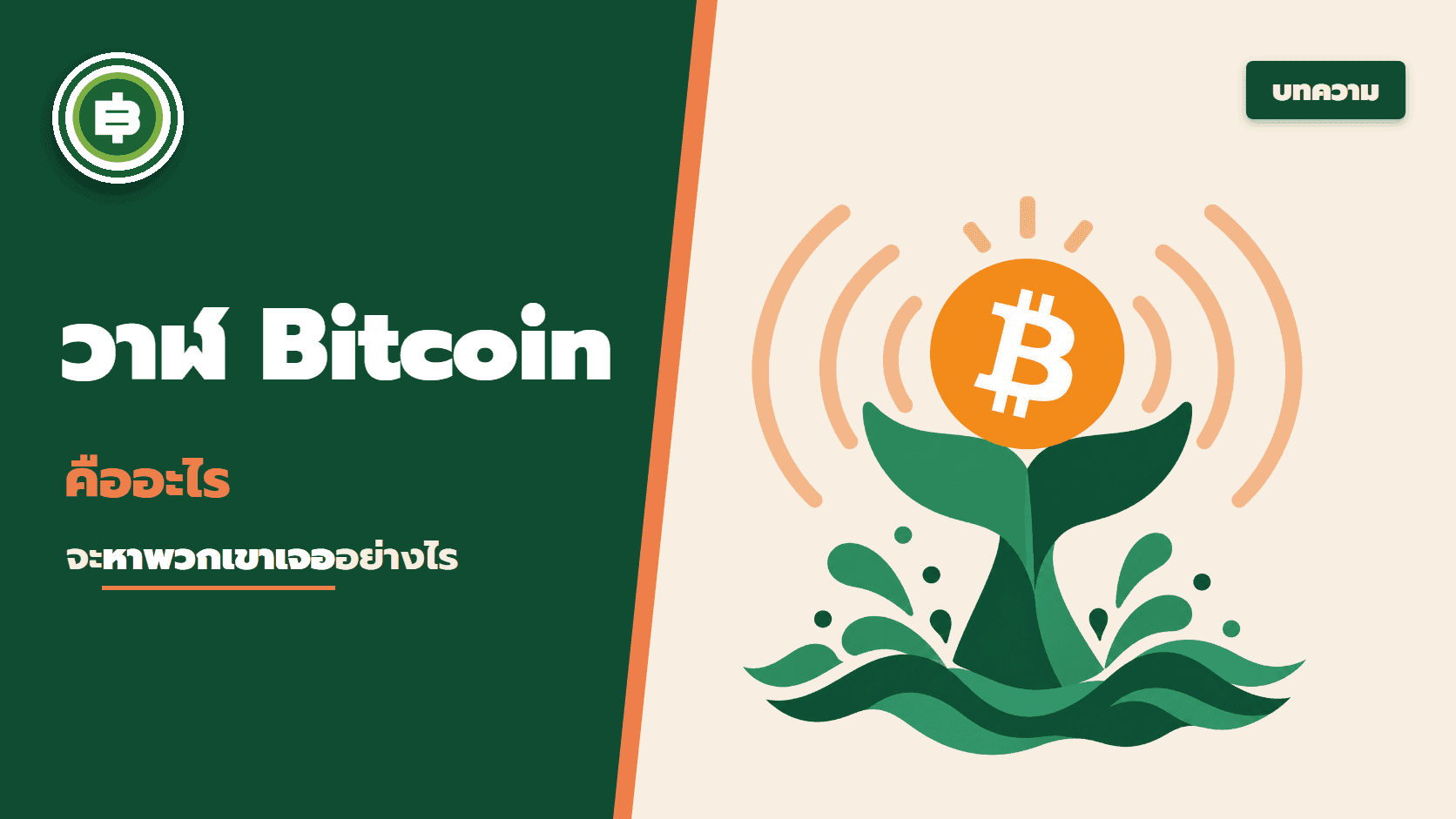 วาฬ Bitcoin คืออะไร ? และจะหาพวกเค้าเจอได้อย่างไร ?