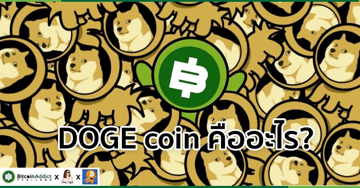 เหรียญ DOGE คืออะไร? ทำไมถึงเป็นลูกรักของอีลอน มักส์ ได้?