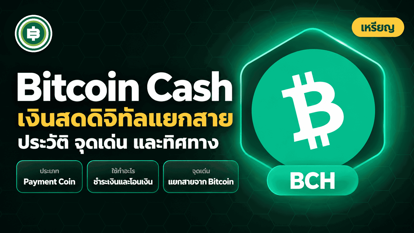 Bitcoin Cash คืออะไร? เรียนรู้ประวัติ จุดเด่น และที่มาของมูลค่า