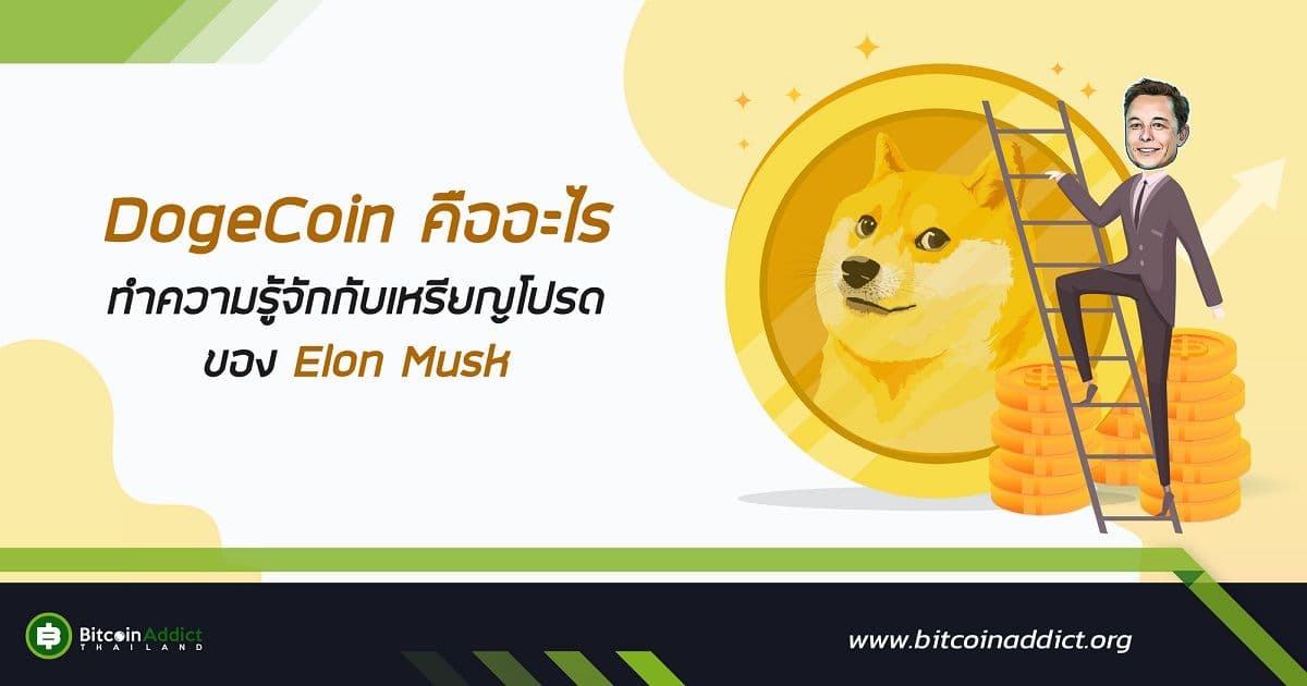 DogeCoin คืออะไร ทำความรู้จักกับเหรียญโปรดของ Elon Musk