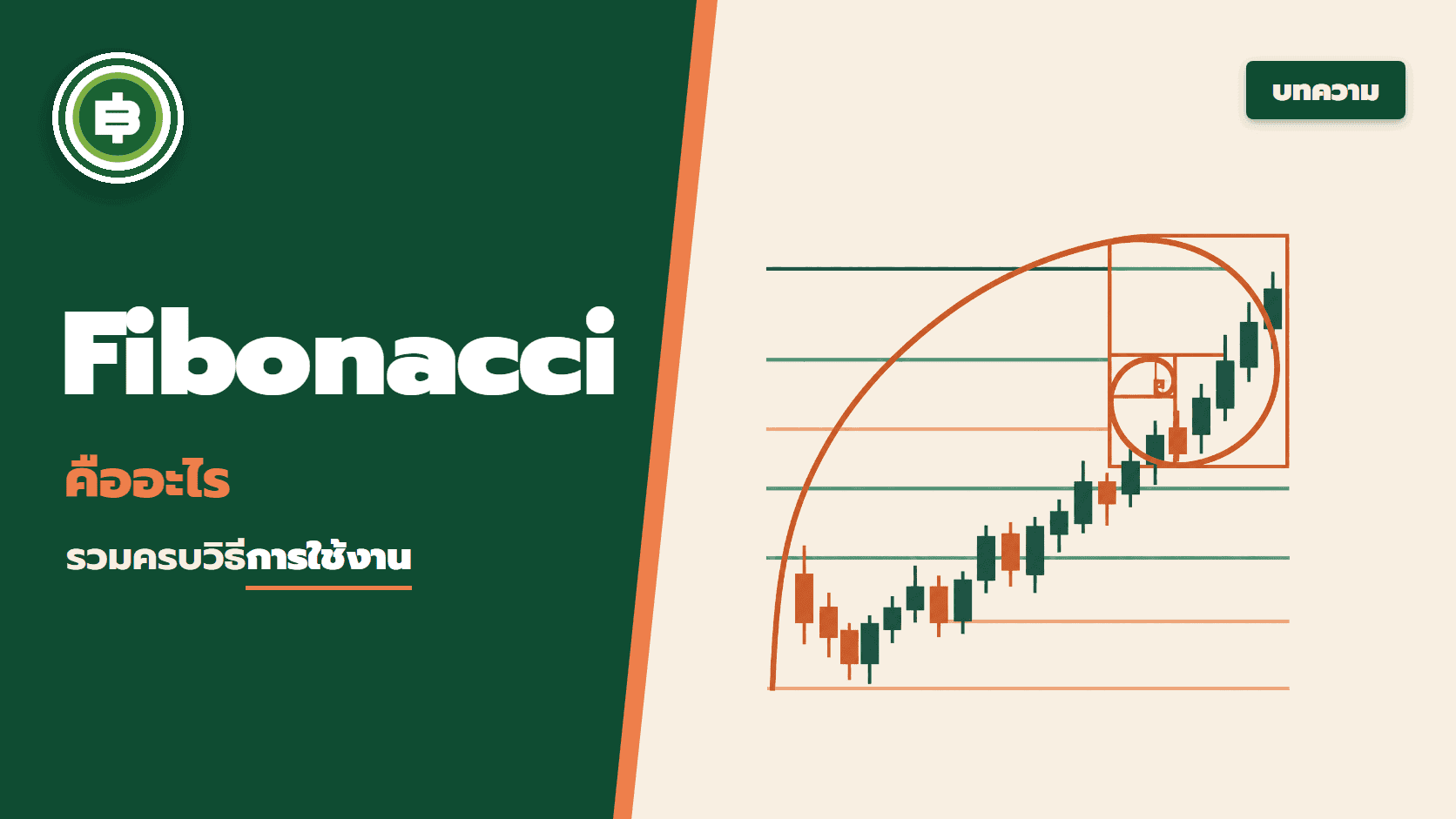Fibonacci คืออะไร? รวมครบวิธีการใช้งาน Fibonacci