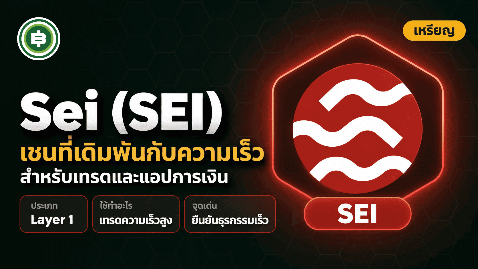 Sei (SEI) คืออะไร บล็อกเชนที่เดิมพันทุกอย่างกับความเร็วและการเทรด (อัปเดต 2026)