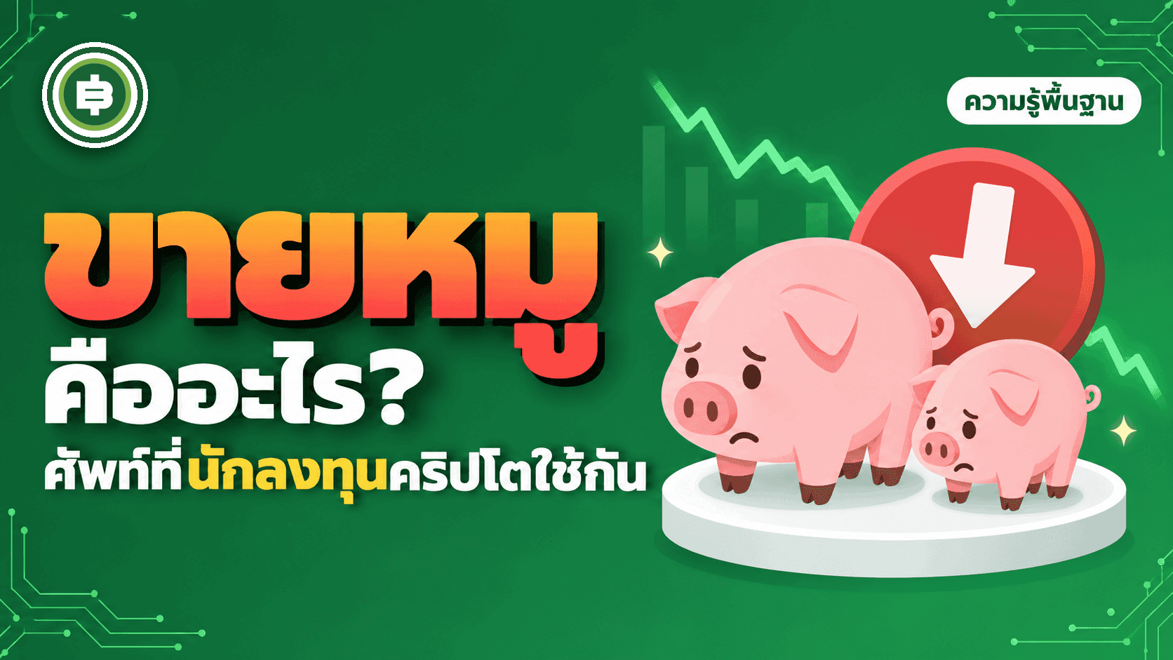 ขายหมู คืออะไร ? คำศัพท์ยอดฮิตที่มือใหม่ควรรู้