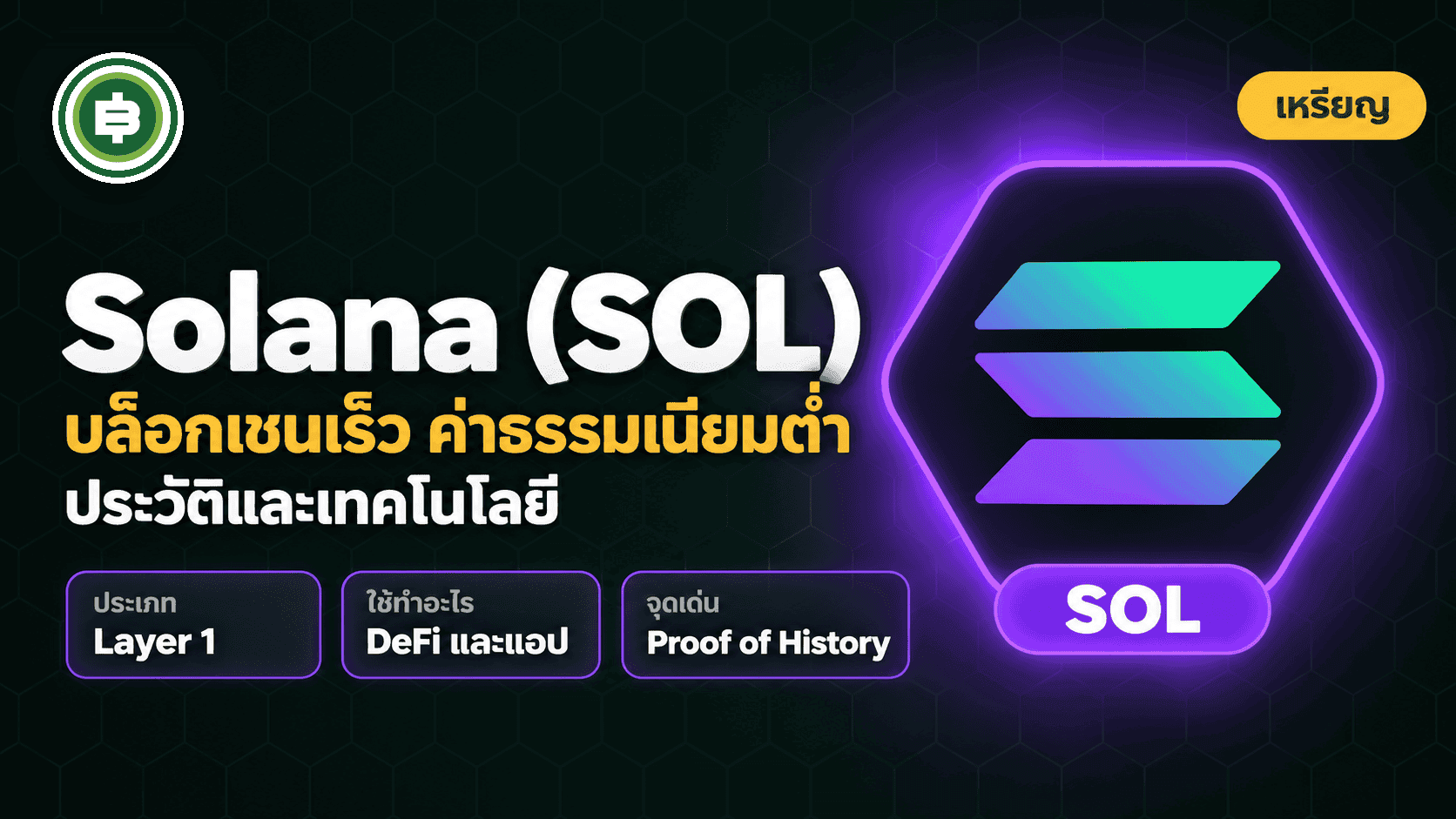 Solana (SOL) คืออะไร? - Bitcoin Addict