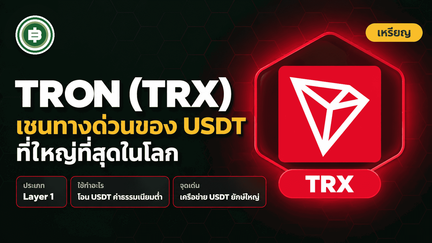 TRON (TRX) คืออะไร? เชนทางด่วนของ USDT ที่ใหญ่ที่สุดในโลก (อัปเดต 2026)