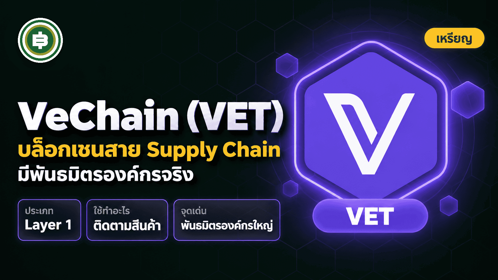 VeChain (VET) คืออะไร โปรเจกต์ Supply Chain องค์กรที่ราคาไม่ฟื้นจาก ATH (อัปเดต 2026)