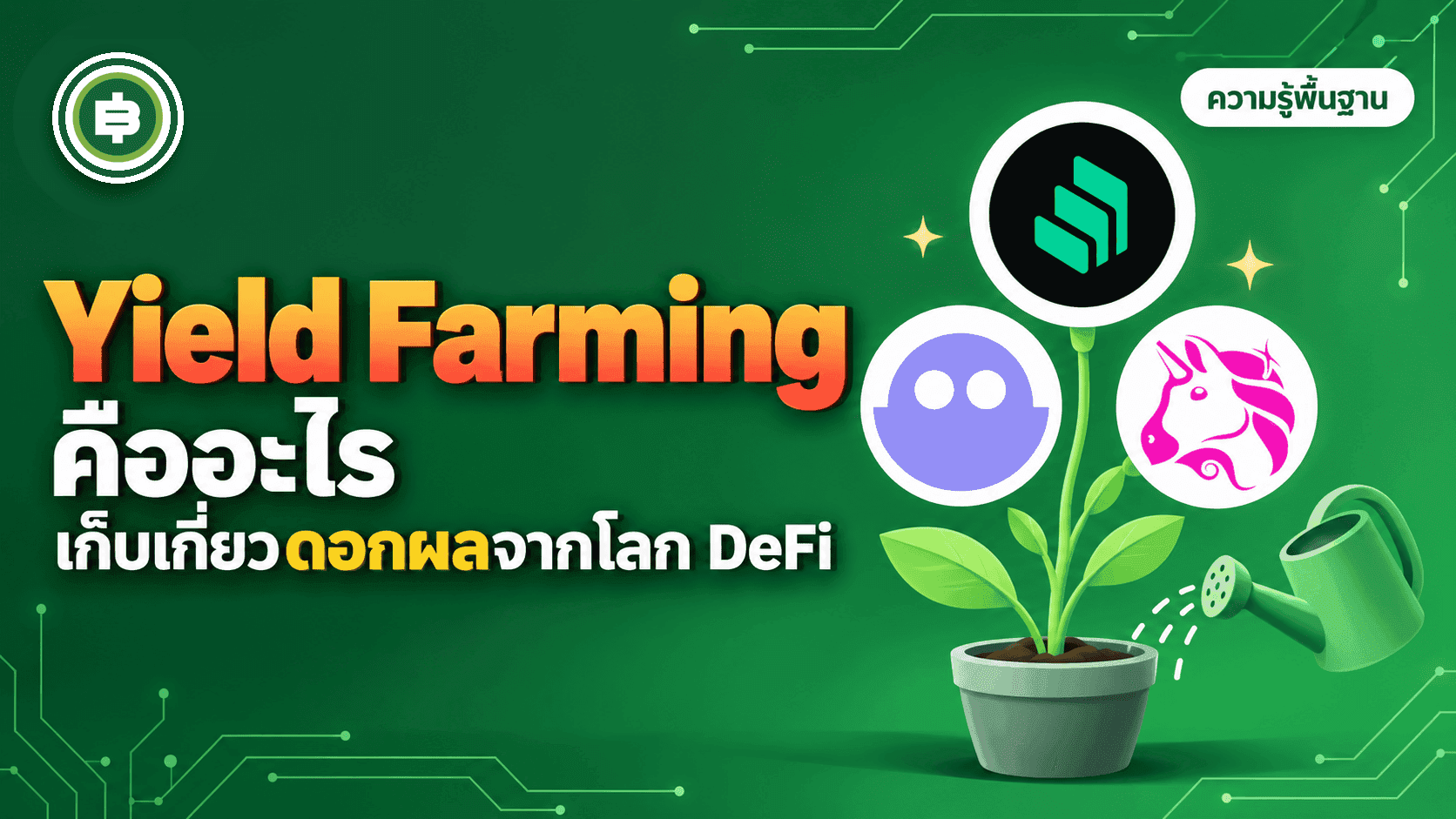 Yield Farming คืออะไร ปลูกผลตอบแทนในโลก DeFi ทำงานยังไง